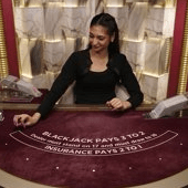 Blackjack VIP 15